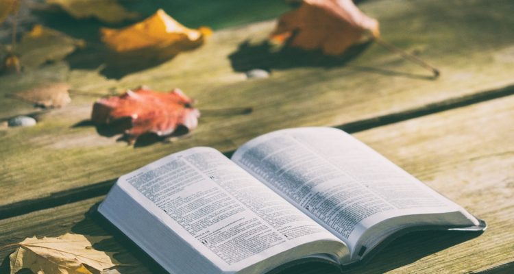 bible book pages open reading