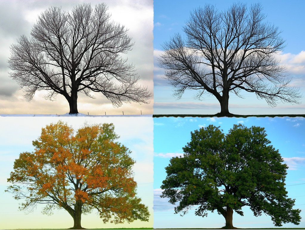 The Seasons of Life